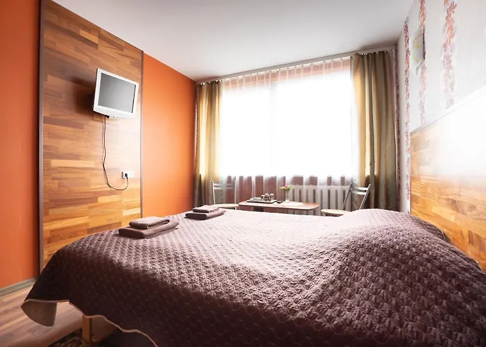 西尔瓦娜酒店 招待所 *